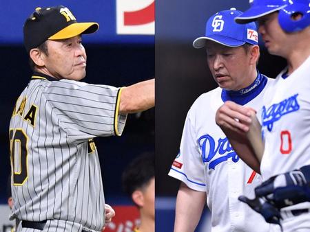 　首位の阪神・岡田監督（左）、最下位の中日・立浪監督（６日）