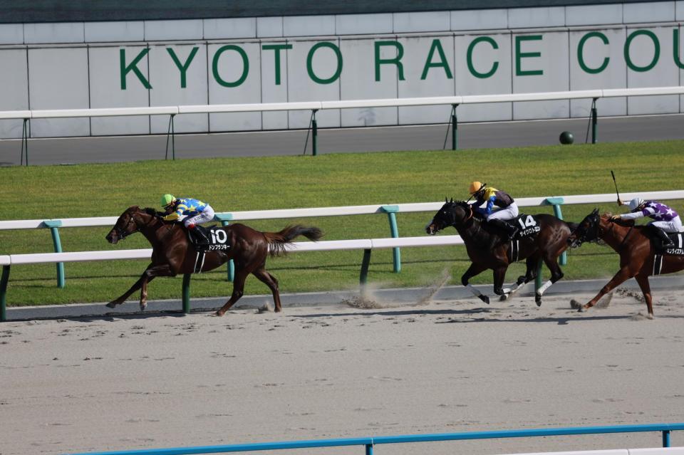 　京都競馬場グランドオープン記念を制したドンフランキー（左）