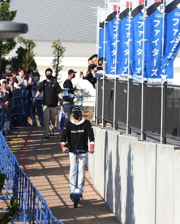 球場に向かう日本ハム・新庄剛志監督＝名護（撮影・佐々木彰尚）