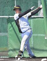 　打撃練習する山田（撮影・北村雅宏）