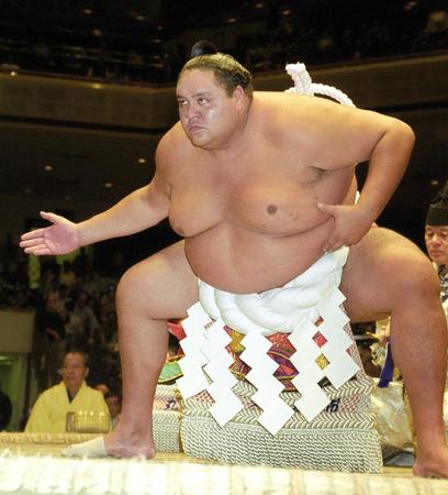 もし曙太郎さんが相撲界に残っていれば