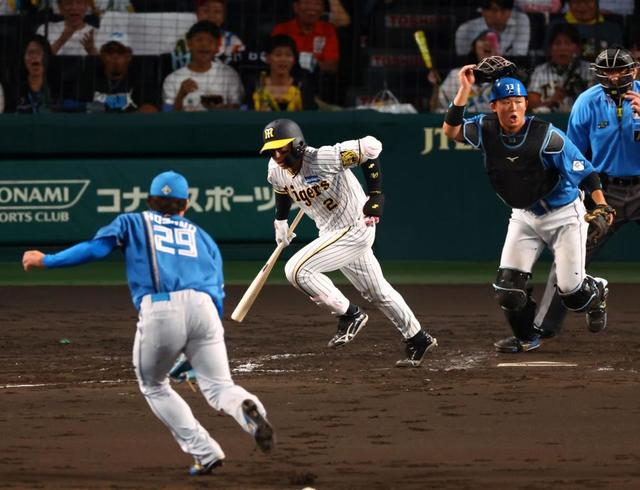 野球】なぜ？スクイズよりセーフティースクイズが多いプロ野球 評論家 