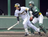 　鳴尾浜で安打を放つ原口（２０１１年４月２６日撮影）