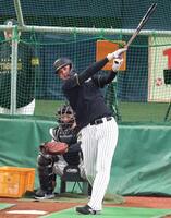 　１軍登録された井上は打撃練習をする（撮影・中田匡峻）