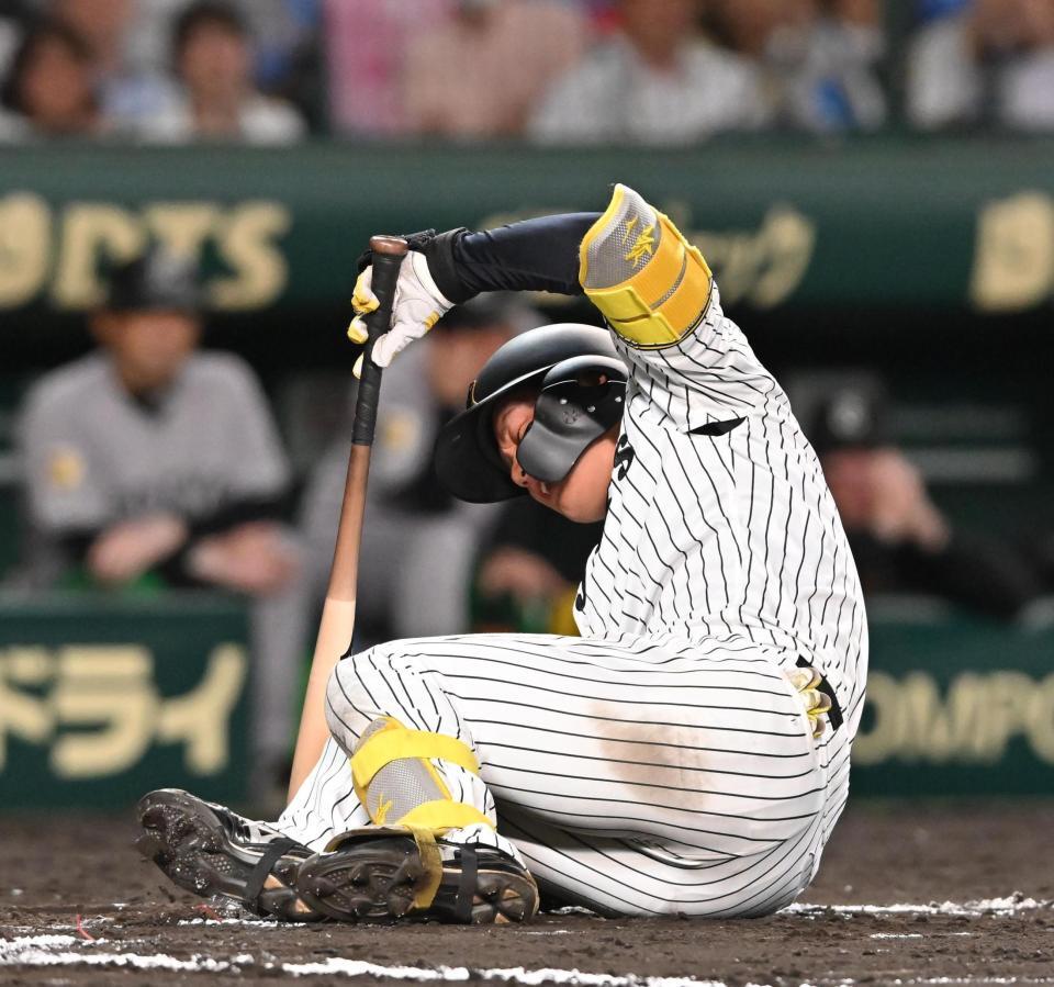 　８回、自打球を受け倒れ込む森下（撮影・西田忠信）