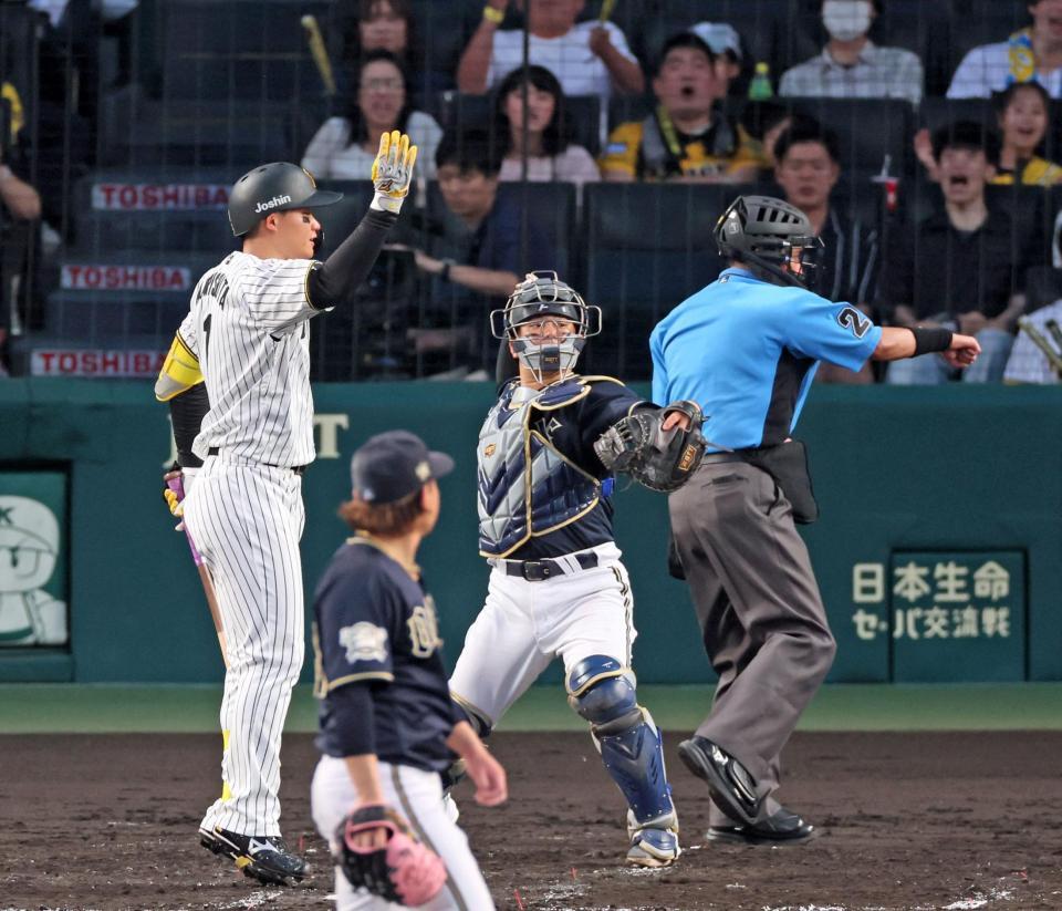 　４回、見逃し三振に倒れる森下（撮影・立川洋一郎）