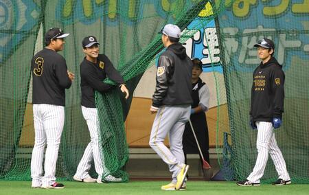 　談笑する（左から）大山、木浪、藤川監督、近本＝２月２３日