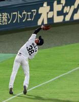 　７回、小幡は牧原大の飛球を好捕する（撮影・山口登）