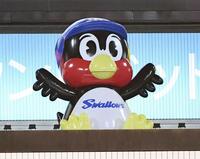 　ヤクルトが勝利した瞬間、バックスクリーンに登場したつば九郎のバルーン