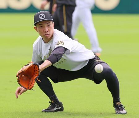 　キャッチボールをする石井（撮影・立川洋一郎）