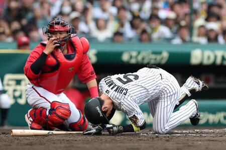 デイリースポーツ 主要ニュース