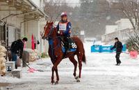 雪かきを交代してもらい馬にまたがる山田敬士君＝栗東トレセン（撮影・石湯恒介）