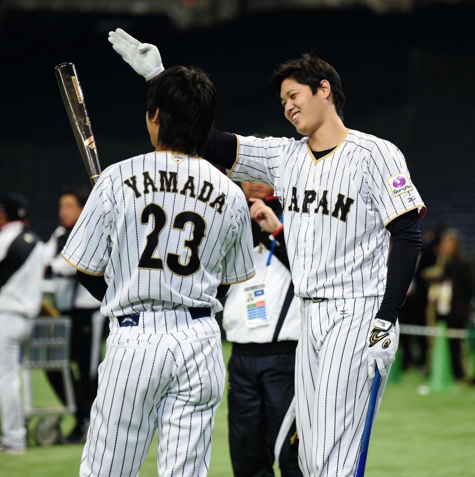 実使用】日本シリーズ2016大谷翔平登板試合 実使用試合球