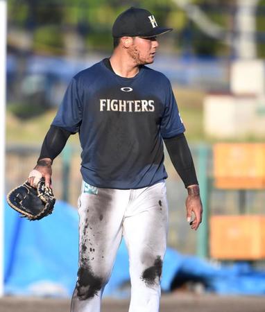 　ユニホームを泥だらけにし、ノックを受けた清宮（撮影・棚橋慶太）