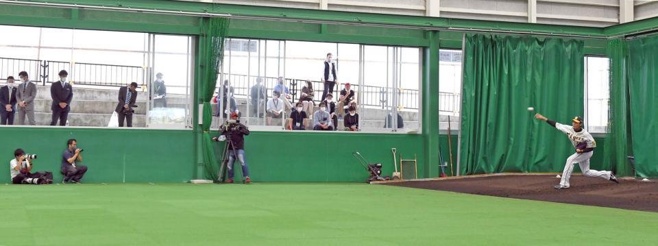 報道陣と関係者しかいないブルペンで黙々と投げ込む藤浪＝宜野座（撮影・山口登）