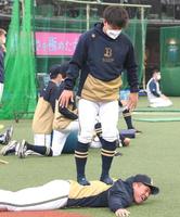 背中を踏まれる激痛マッサージを受けるオリックス・頓宮＝ベルーナドーム（撮影・堀内翔）