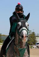 俺はやったぜと言ってるゴースト