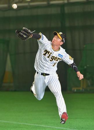 背走しながら華麗にボールをキャッチする阪神・近本光司＝宜野座村野球場（撮影・立川洋一郎）