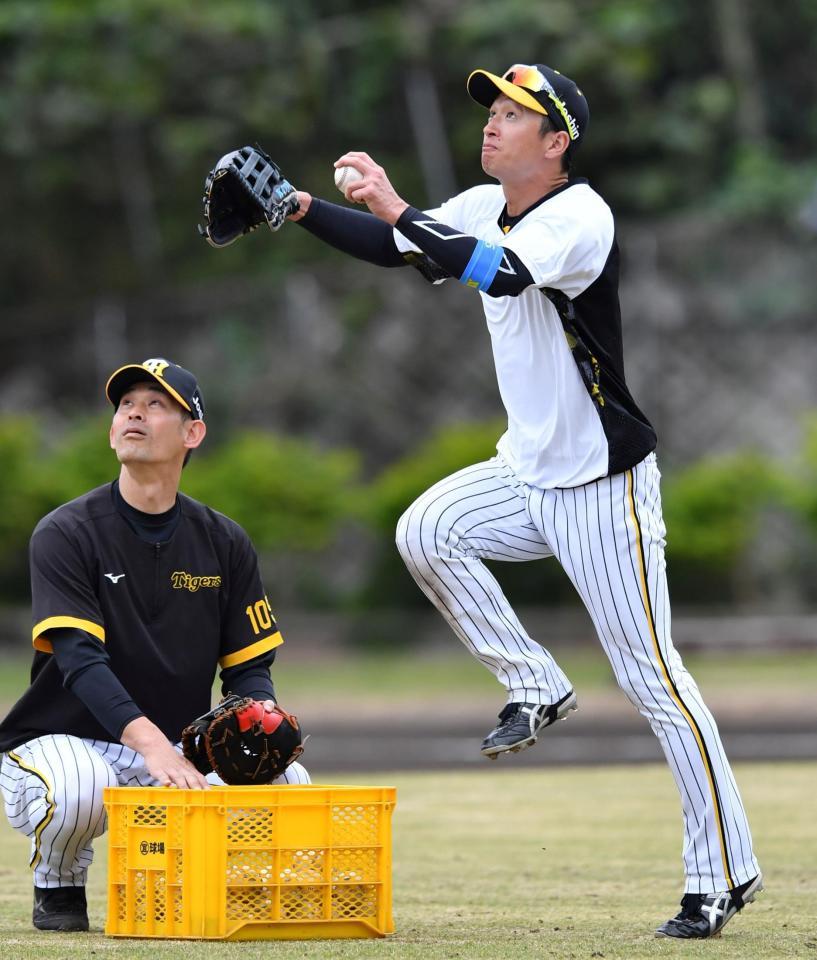 ジャンプの体勢に入る阪神・近本光司＝宜野座村野球場（撮影・中田匡峻）