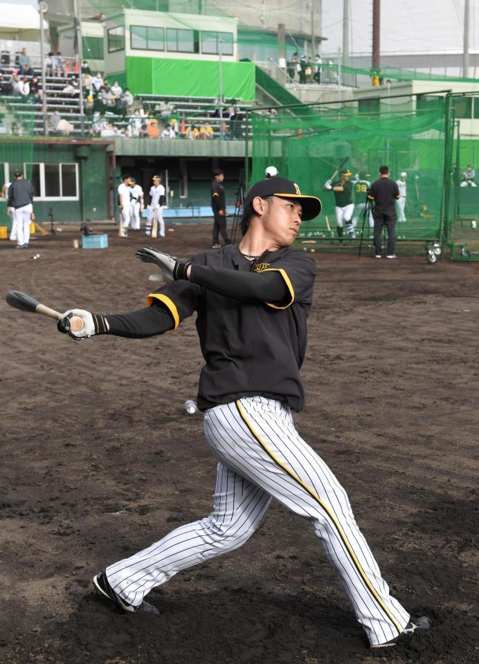 　岡田監督からの指導後、ロングティーで快音を響かせる高山＝１０日（撮影・高部洋祐）