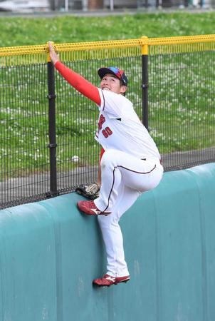 外野のフェンスをよじ登り“忍者捕り”をする広島・田村