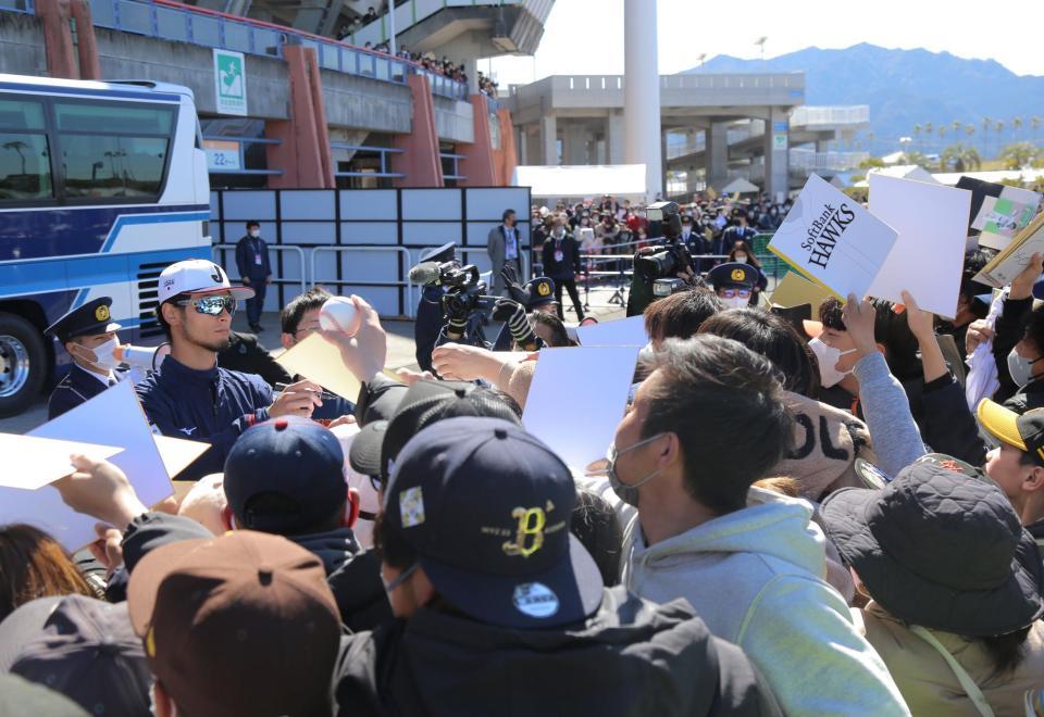 強化合宿中、毎日大勢のファンにサインをしたダルビッシュ有＝２月２７日、宮崎（撮影・吉澤敬太）