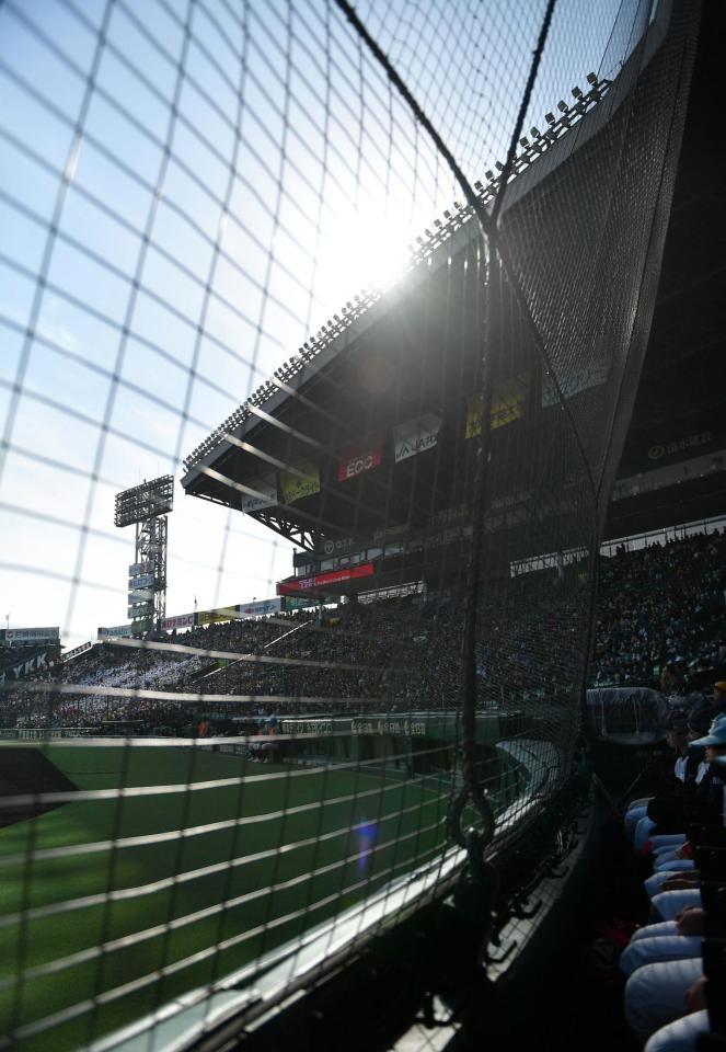 春の陽光が降り注ぐマンモススタンド＝２９日、甲子園球場（撮影・開出牧）