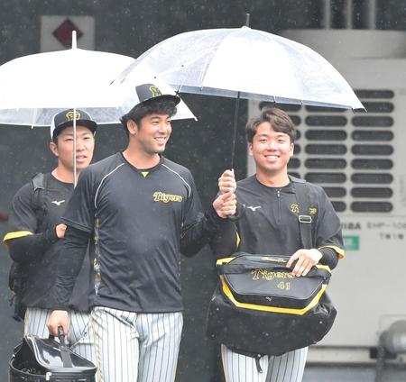 　仲良く１本の傘を持って室内練習場に向かう（右から）阪神・村上頌樹、阪神・加治屋蓮＝６日、マツダスタジアム（撮影・高部洋祐）