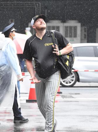 　雨の中、傘も差さずに室内練習場に向かう阪神　ジェレミー・ビーズリー＝６日、マツダスタジアム（撮影・高部洋祐）