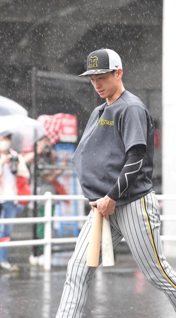 【写真】タオルを傘に室内練習場へ突き進む阪神選手はだ～れ？