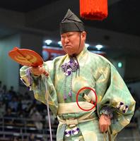 　式守伊之助の左腰にある短刀