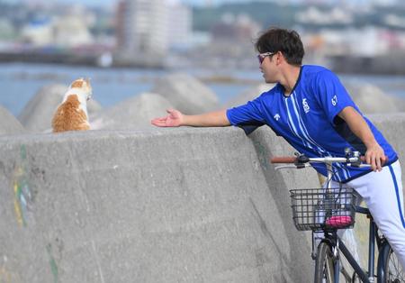 猫に触れようと手を伸ばすも無視されるＤｅＮＡ・西巻賢二＝沖縄・宜野湾（撮影・伊藤笙子）