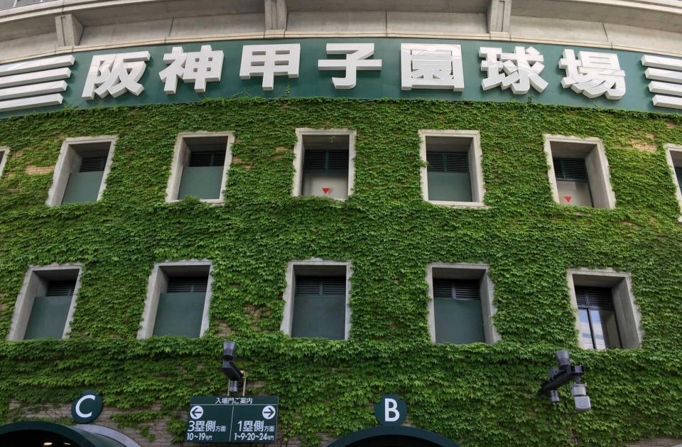 　蔦の葉が茂る甲子園正面