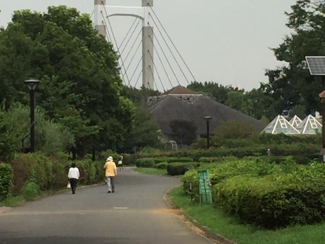 　公園を散歩するなどの軽い運動でも効果はあります