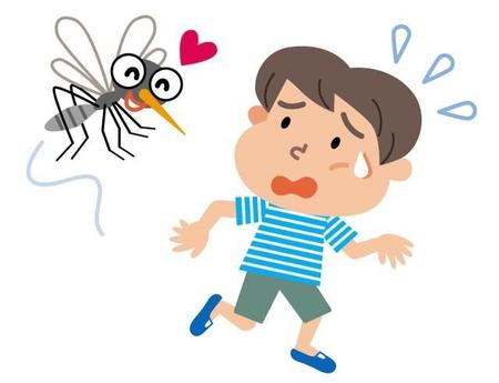 蚊に刺されやすいタイプはあるのでしょうか（k_katelyn/stock.adobe.com）