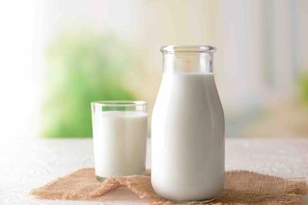 牛乳を飲むとおなかをこわす…乳糖不耐症の可能性も（Pixel-Shot/adobe.stock.com）