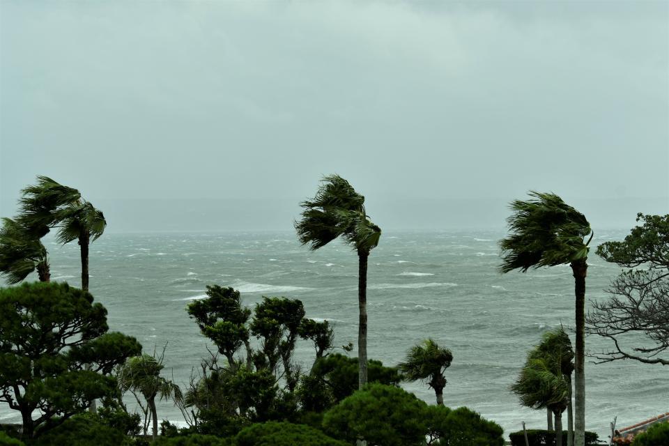 　台風　※写真はイメージです（rrice／stock.adobe.com）