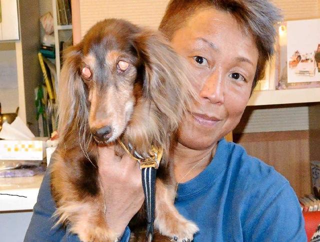 女子プロレスの「隠れた実力者」青野敬子さん　犬と暮らせる介護老人施設開きたい