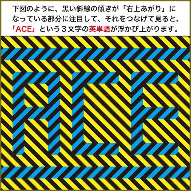 トリックアートｑ ５月１６日 イラストロジック オピニオンｄ デイリースポーツ Online