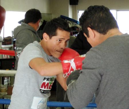 　ミット打ちで鋭いパンチを繰り出すエドガル・ソーサ