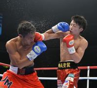 井上が5回TKO勝利で東洋太平洋王者に/ファイト/デイリースポーツ