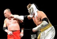 　戸井（左）にグーパンチを見舞う大ハヤブサ