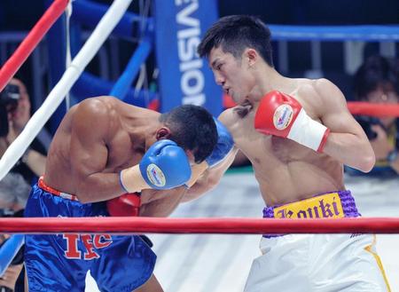 強烈な右フックでビモ・ジャガーをダウンさせた井上浩樹（右）＝有明コロシアム（撮影・西岡正）