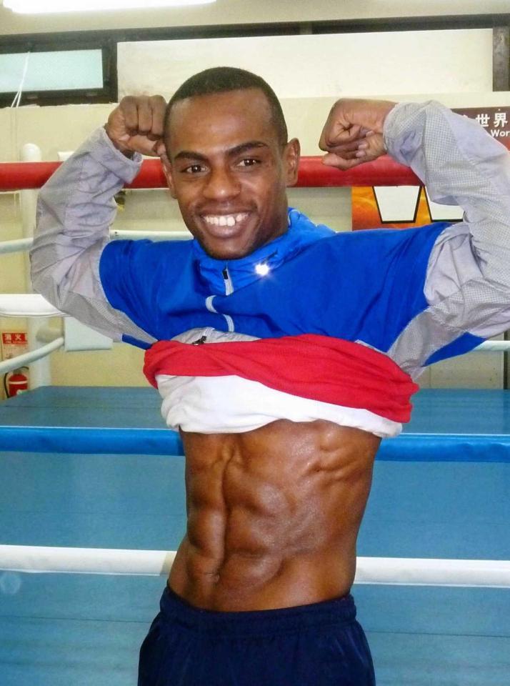 ムキムキ動く 腹筋あにまるず 全2種 ムキムキ動く腹筋アニマルズ FANS