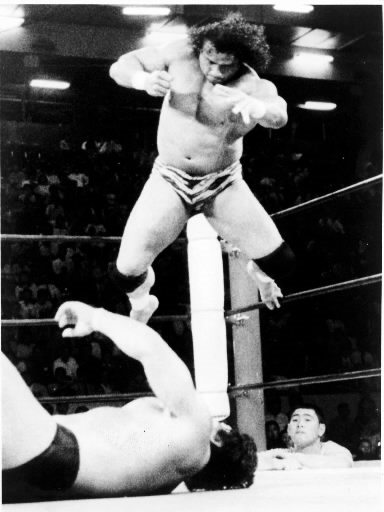元プロレスラーのジミー・スヌーカさん死去 B・ブロディとのタッグで
