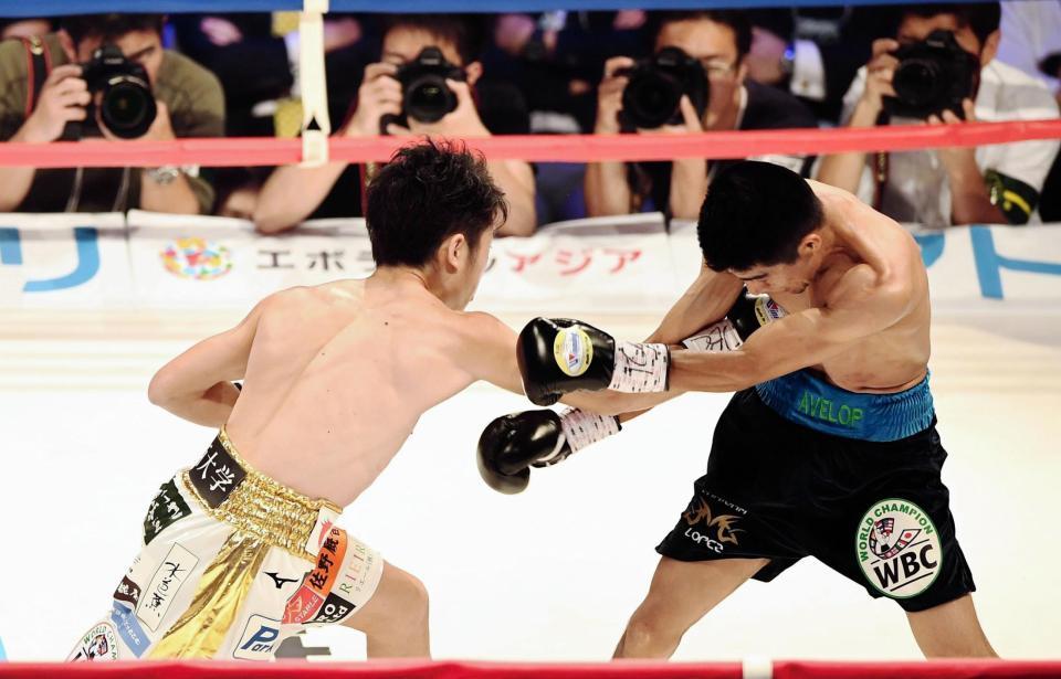 ２回、ロペス（右）のボディーに強烈な右のパンチをたたき込みＫＯ勝利を飾った拳四朗＝大田区総合体育館（撮影・園田高夫）