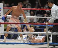 10回、倒れる寺地拳四朗（下）＝京都市体育館（撮影・高部洋祐）