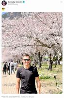 　ツイッターで公園の桜を満喫したことを伝えるゴロフキン