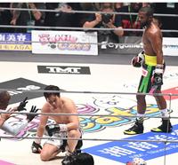 　２回終了間際、ダウンしメイウェザーに敗れた朝倉未来（撮影・高石航平）