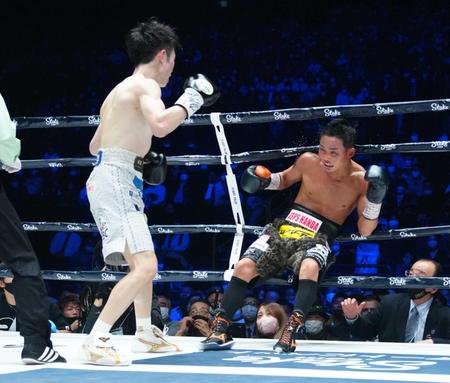 　７回、京口（右）にＫＯ勝ちし王座を統一した寺地（代表撮影）